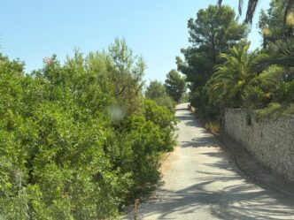 mantenimiento de Monte Pego