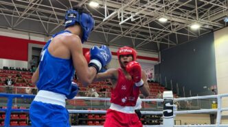 Boxam Internacional La Nucía