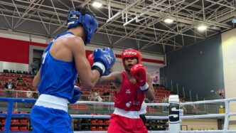 Boxam Internacional La Nucía