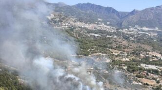 incendio de vegetación Polop