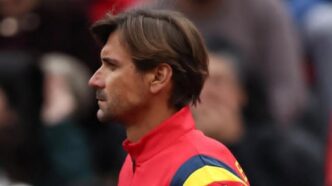 David Ferrer Copa Davis